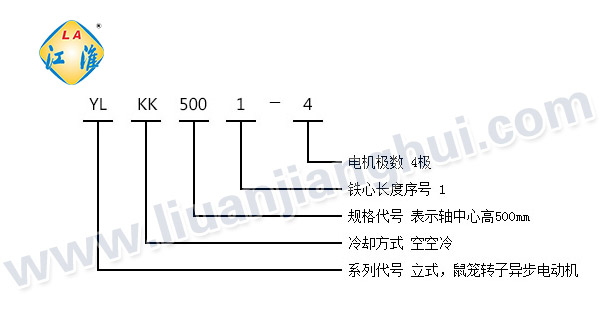 YLKK高壓立式三相異步電動(dòng)機(jī)_型號(hào)意義說明_六安江淮電機(jī)有限公司