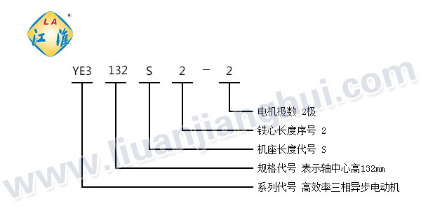 YE3系列三相異步電動機(jī)_型號意義說明_六安江淮電機(jī)有限公司