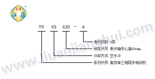 YXKS高效節(jié)能高壓三相異步電動(dòng)機(jī)_型號(hào)意義說(shuō)明_六安江淮電機(jī)有限公司